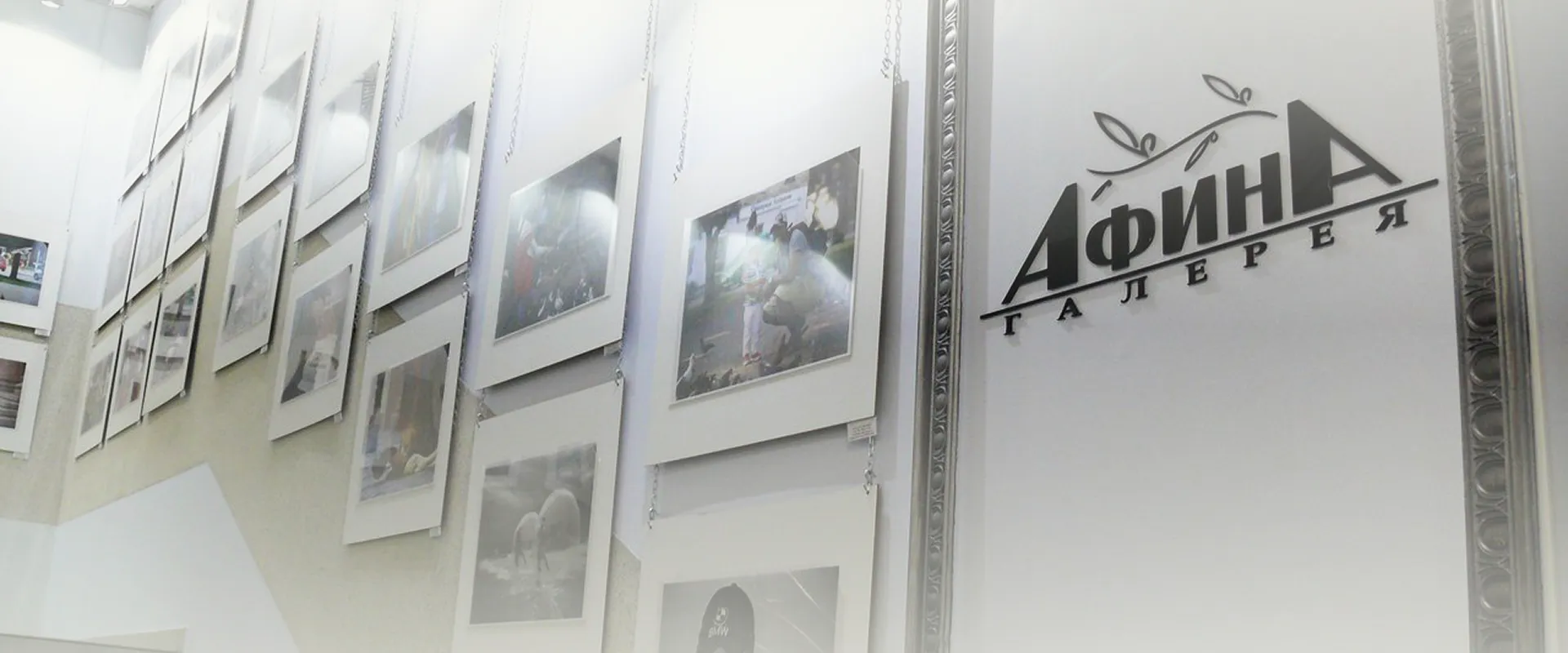 gallery_interior_dfphoto